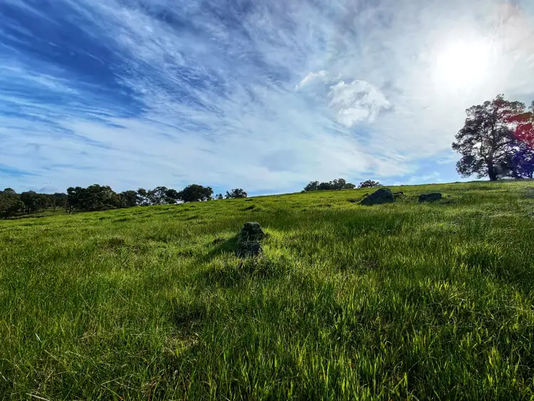 Fourth view of Homely rural property listing, 816 Mindijup Road, Napier WA 6330