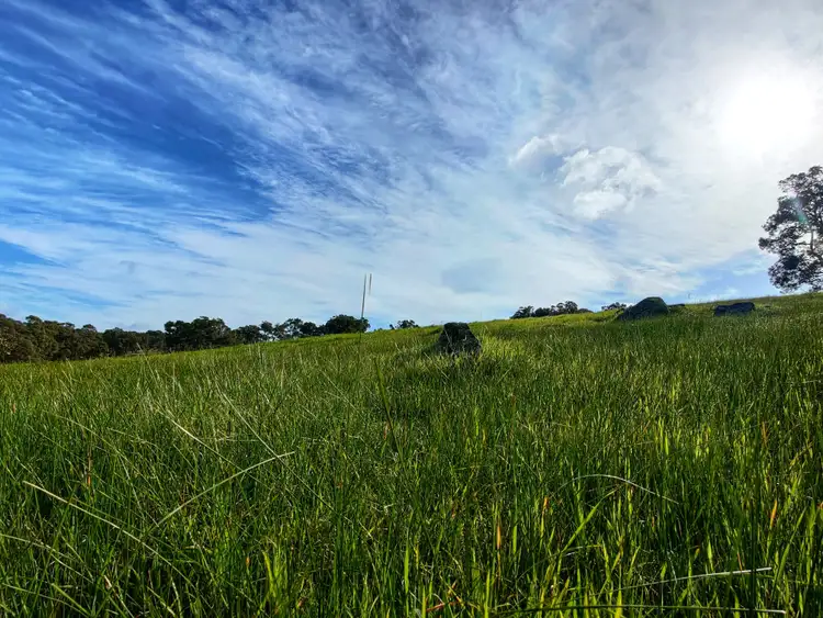 Fifth view of Homely rural property listing, 816 Mindijup Road, Napier WA 6330