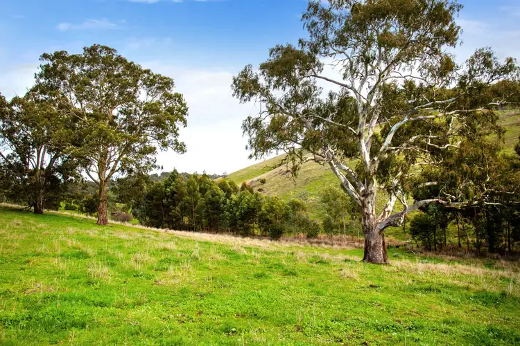 Main view of Homely land listing, LOT 3 Warner Road, Upper Hermitage SA 5131