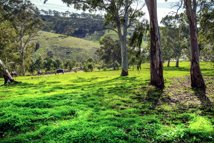 Fifth view of Homely land listing, LOT 3 Warner Road, Upper Hermitage SA 5131