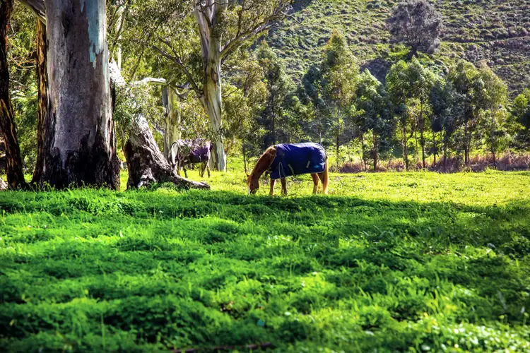 Sixth view of Homely land listing, LOT 3 Warner Road, Upper Hermitage SA 5131