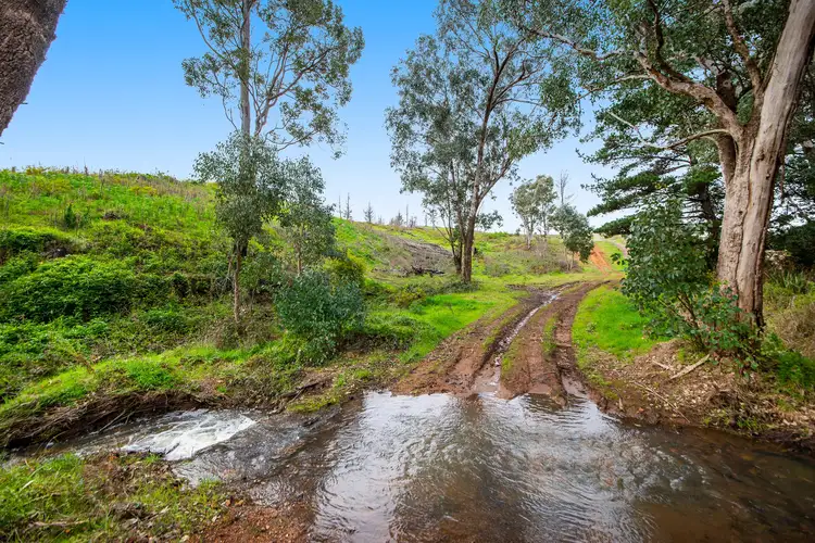 Sixth view of Homely rural property listing, 11 Brockman Highway, Nannup WA 6275