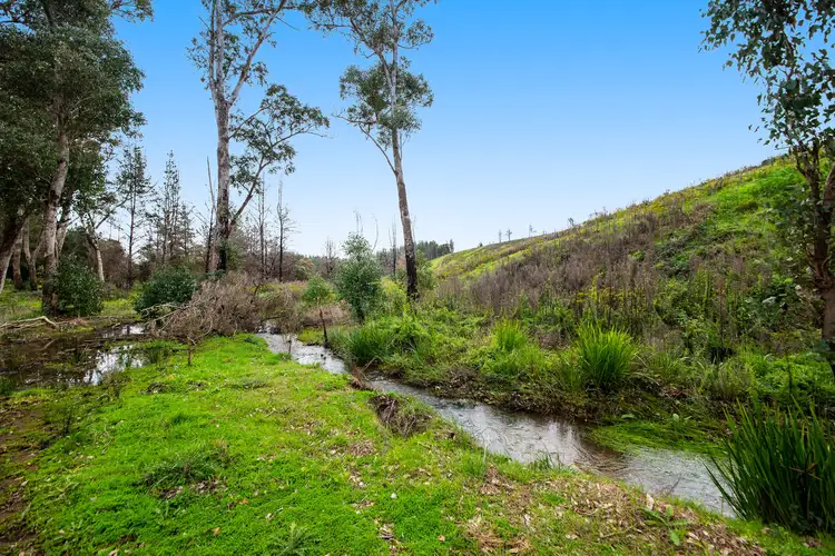 Seventh view of Homely rural property listing, 11 Brockman Highway, Nannup WA 6275