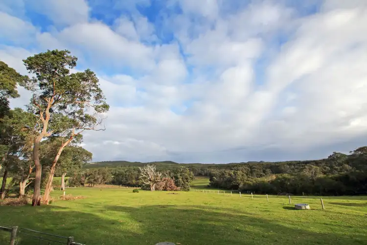 Fourth view of Homely house listing, 47 Privett Road, Denmark WA 6333