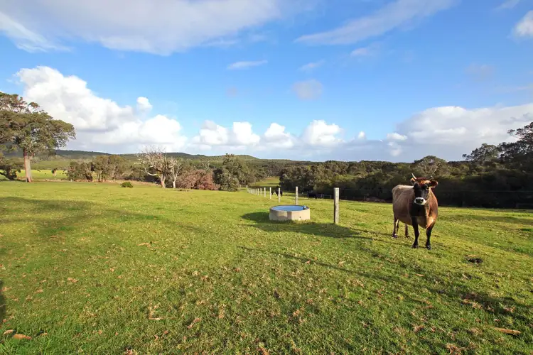 Fifth view of Homely house listing, 47 Privett Road, Denmark WA 6333