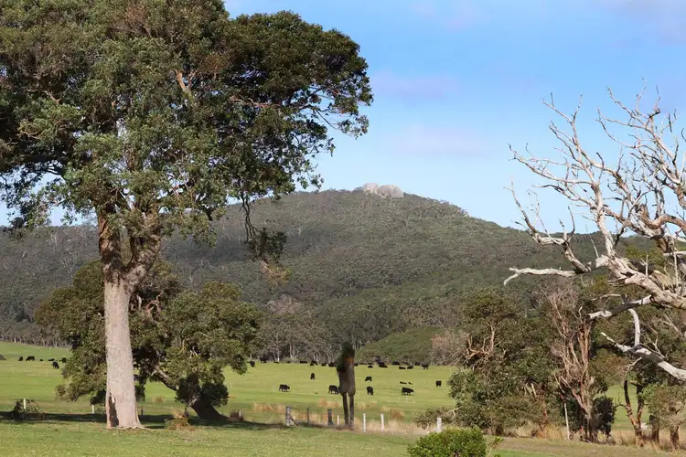 Sixth view of Homely house listing, 47 Privett Road, Denmark WA 6333