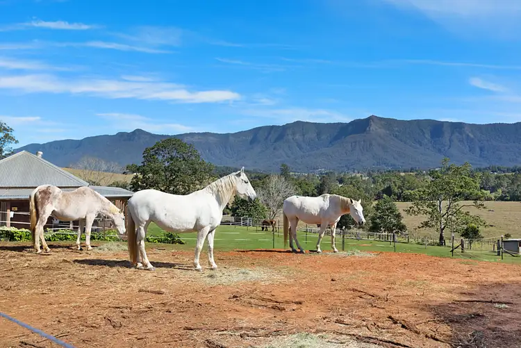 Second view of Homely rural property listing, 10 Larkins Road, Tyalgum NSW 2484