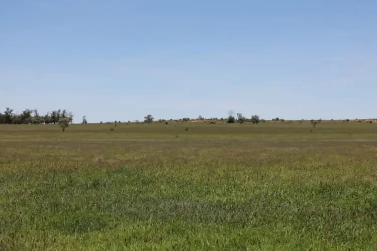 Sixth view of Homely rural property listing, 4895 Teelba Road, St George QLD 4487