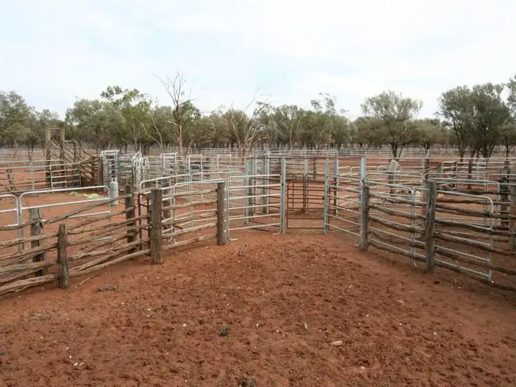 Sixth view of Homely rural property listing, 0 SPRING CREEK, Wyandra QLD 4489