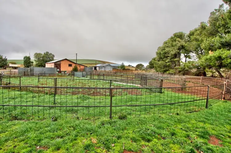 Sixth view of Homely rural property listing, "Newikie" Old Belcunda Road, Mount Bryan SA 5418