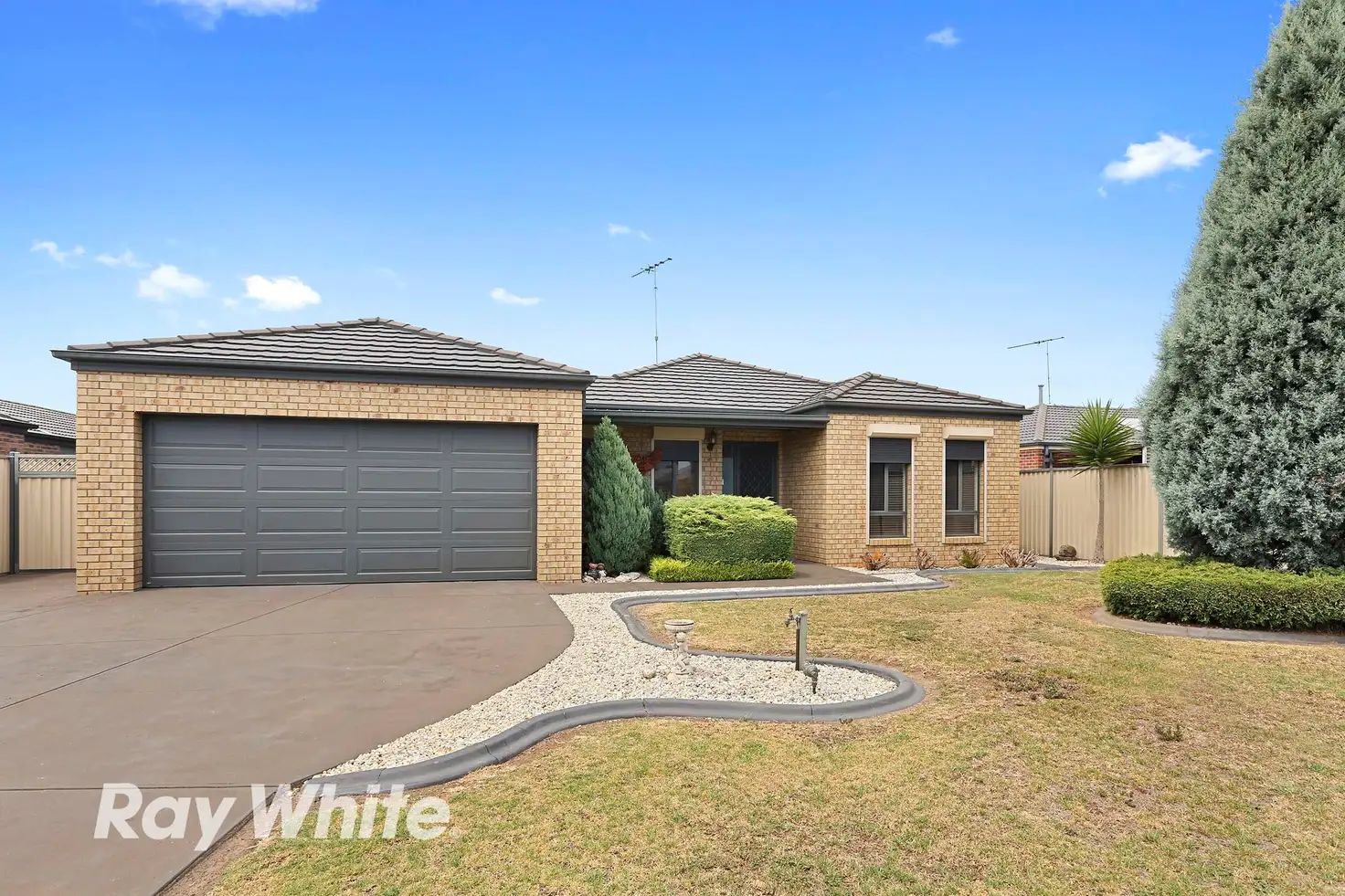 Main view of Homely house listing, 10 Petrea Close, Corio VIC 3214