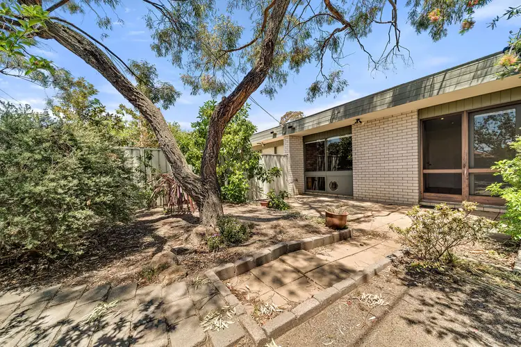 Main view of Homely house listing, 20A & 20B Wenholz Street, Farrer ACT 2607