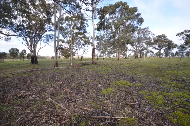 Fifth view of Homely rural property listing, CA 1 Redbank-Barkly Road, Barkly VIC 3384