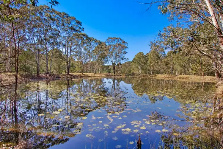 Third view of Homely rural property listing, 538 Tennyson Road, Tennyson NSW 2754