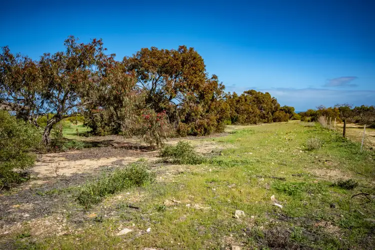 Seventh view of Homely land listing, 295 Alexander Drive, Glenfield WA 6532
