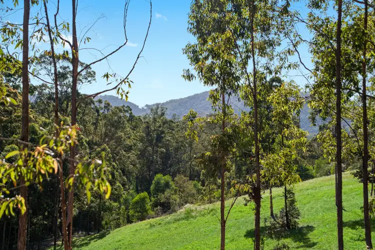 Fourth view of Homely house listing, 111 Laidlaw Street, Dayboro QLD 4521