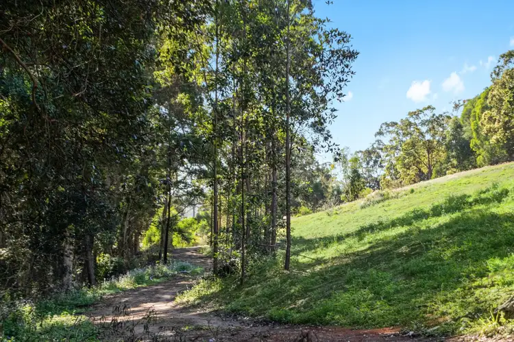Sixth view of Homely house listing, 111 Laidlaw Street, Dayboro QLD 4521