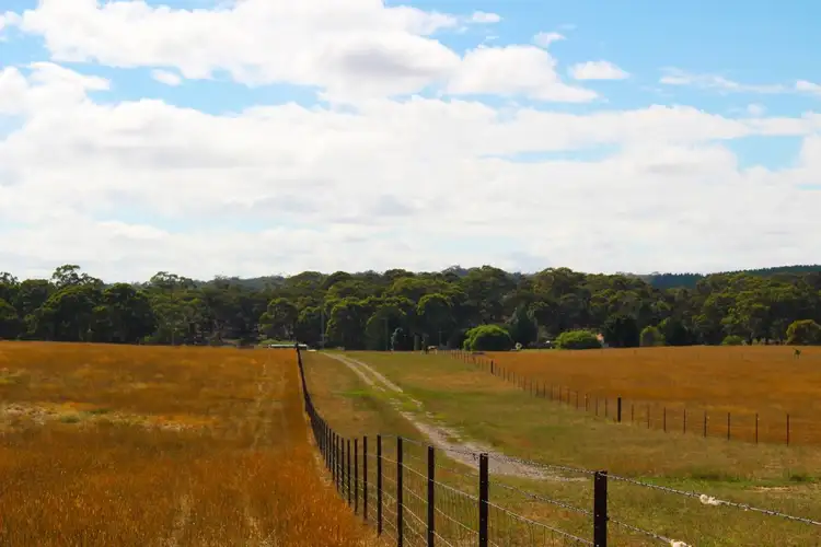 Fourth view of Homely rural property listing, 2432 Mitchell Highway, Vittoria NSW 2799