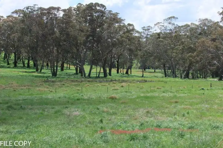 Seventh view of Homely rural property listing, 2432 Mitchell Highway, Vittoria NSW 2799