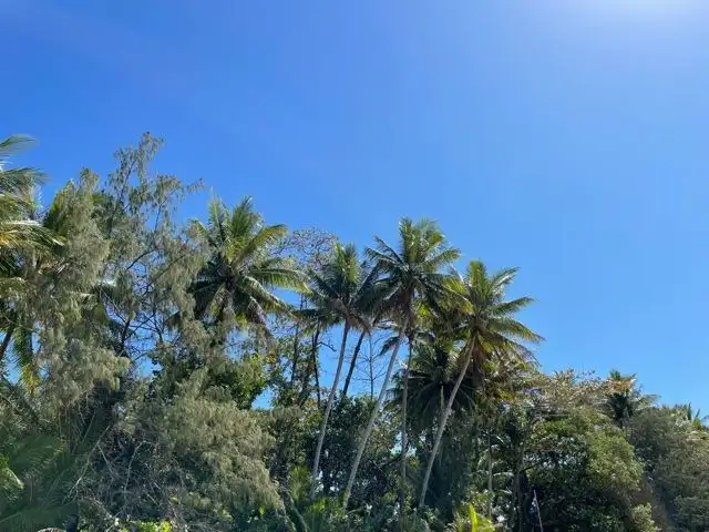 Fifth view of Homely land listing, 3 Julia Close, Wonga Beach QLD 4873