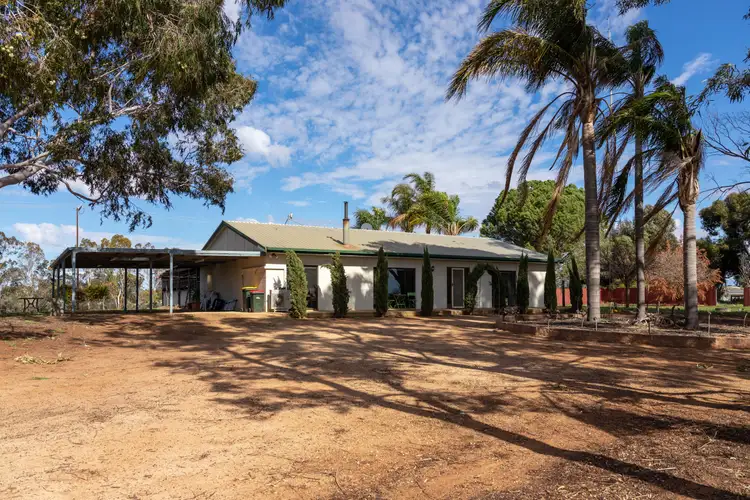 236 Gilmour Road, Barmera SA 5345