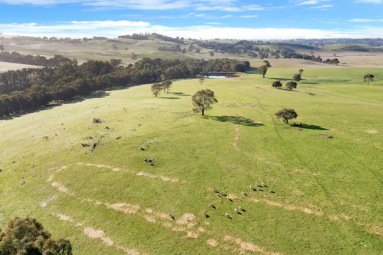 Third view of Homely rural property listing, 522 Terlinga Road, Mount Torrens SA 5244