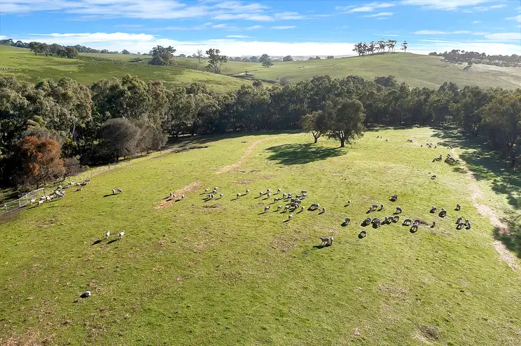 Seventh view of Homely rural property listing, 522 Terlinga Road, Mount Torrens SA 5244