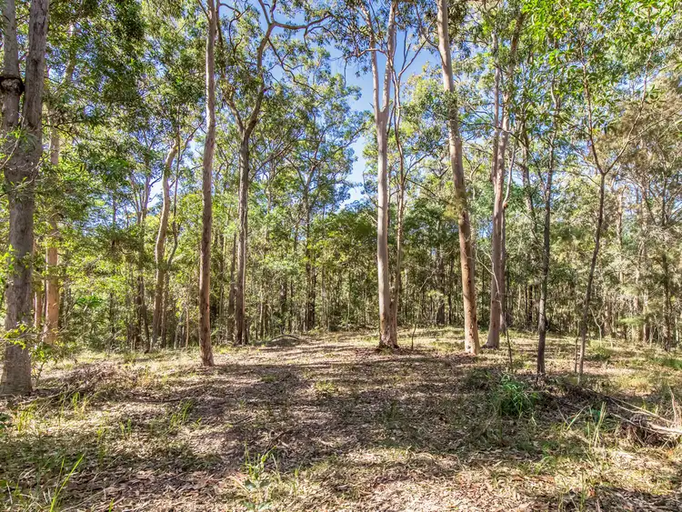 Fifth view of Homely land listing, 613 Maudsland Road, Maudsland QLD 4210