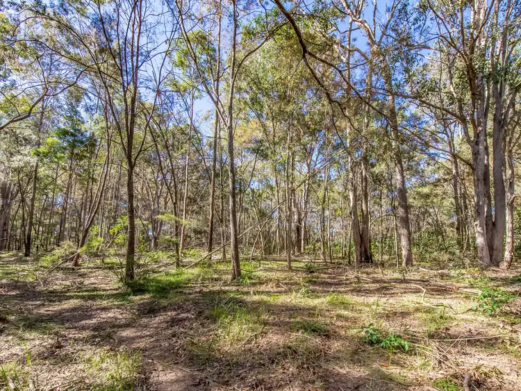 Seventh view of Homely land listing, 613 Maudsland Road, Maudsland QLD 4210