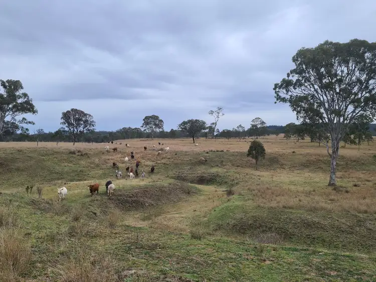 Third view of Homely rural property listing, 2625 Pierce Creek Road, Emu Creek QLD 4355