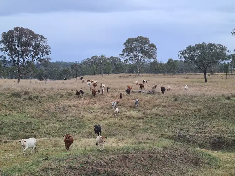 Fourth view of Homely rural property listing, 2625 Pierce Creek Road, Emu Creek QLD 4355