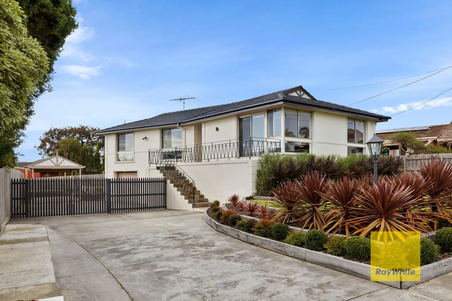 Main view of Homely house listing, 19 Carnarvon Drive, Grovedale VIC 3216