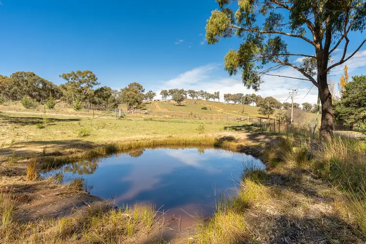 Second view of Homely rural property listing, 2904 Beaconsfield Road, Wisemans Creek NSW 2795