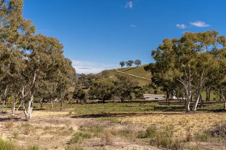 Sixth view of Homely rural property listing, 2904 Beaconsfield Road, Wisemans Creek NSW 2795