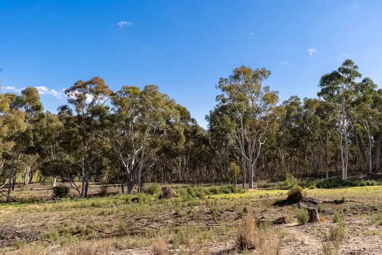 Seventh view of Homely rural property listing, 2904 Beaconsfield Road, Wisemans Creek NSW 2795