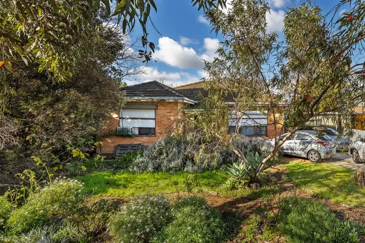 Second view of Homely house listing, 24 High Avenue, Clearview SA 5085