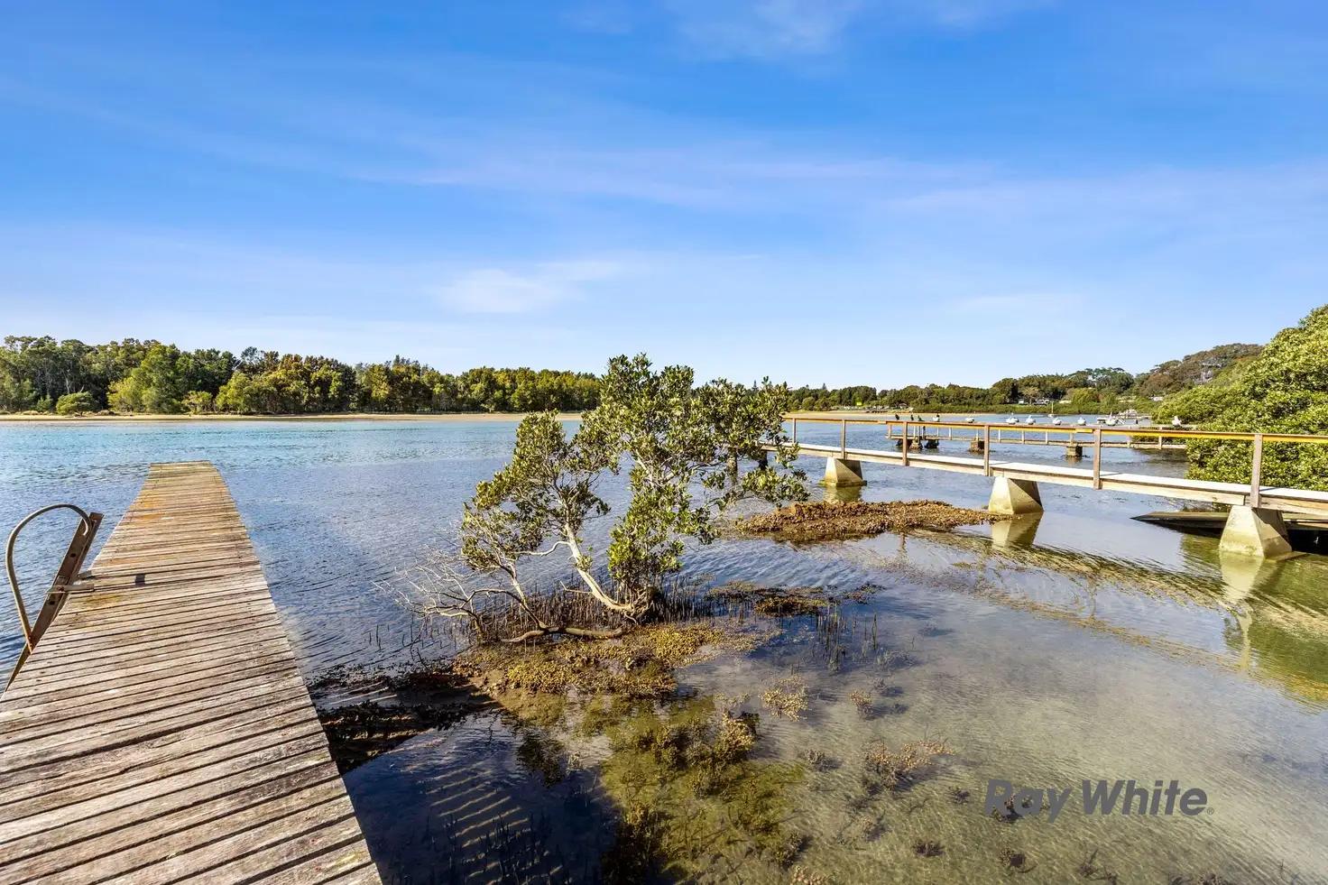 Main view of Homely house listing, 233 Annetts Parade, Mossy Point NSW 2537