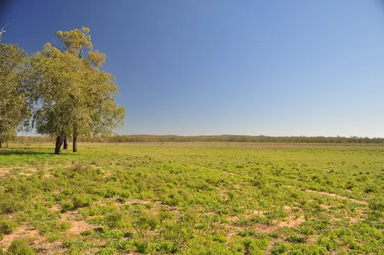 Seventh view of Homely rural property listing, "Slatey Creek" Adams Road, Boolburra QLD 4702