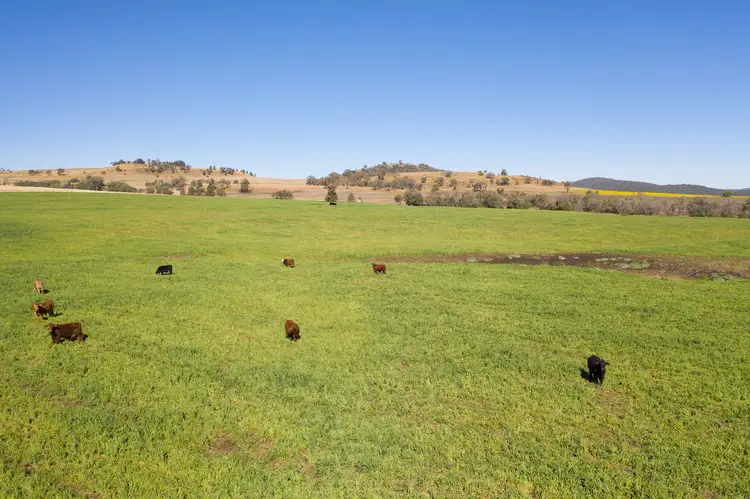 Second view of Homely rural property listing, Address available on request