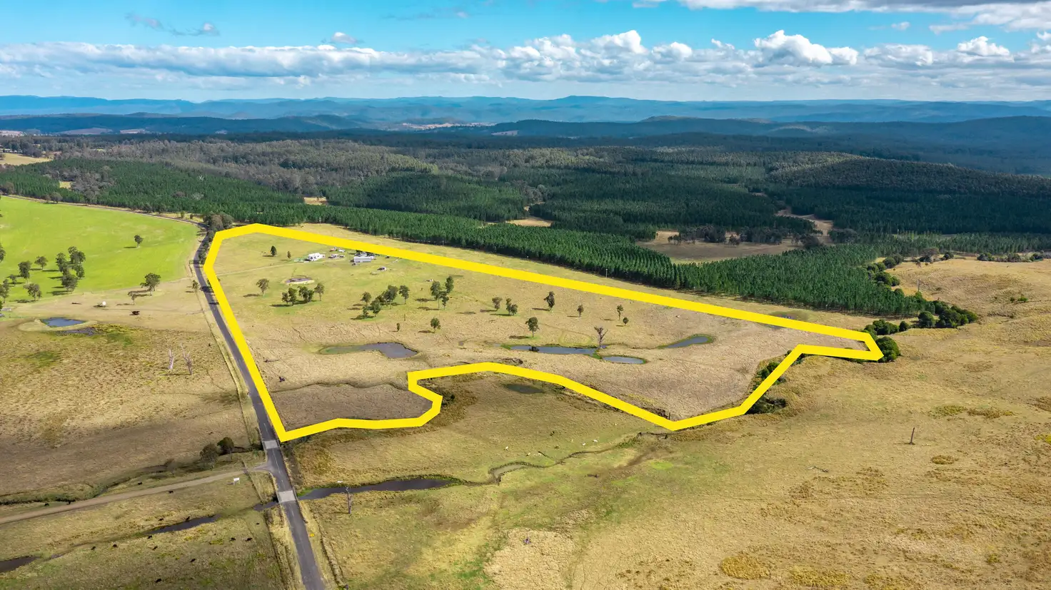 Main view of Homely rural property listing, 12395 Clarence Way, Culmaran Creek NSW 2469