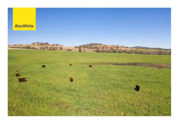 Main view of Homely rural property listing, Address available on request