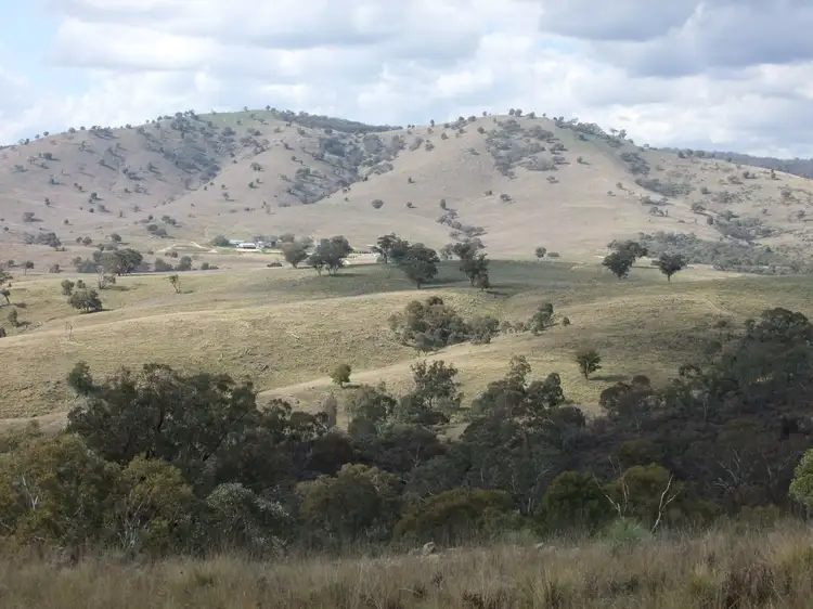 Main view of Homely rural property listing, 1931 The Bridle Track, Bruinbun NSW 2795