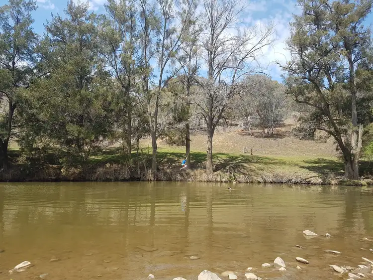 Fifth view of Homely rural property listing, 1931 The Bridle Track, Bruinbun NSW 2795