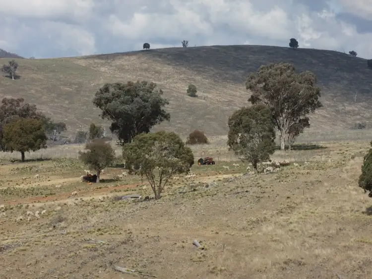 Sixth view of Homely rural property listing, 1931 The Bridle Track, Bruinbun NSW 2795