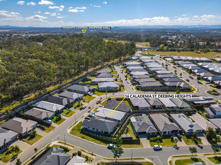 Second view of Homely house listing, 16 Caladenia Street, Deebing Heights QLD 4306