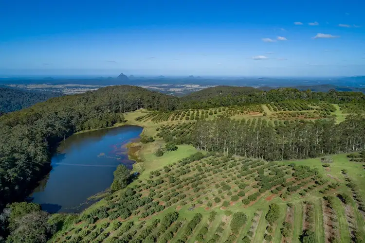 Main view of Homely rural property listing, 95 Bellthorpe Range Road, Bellthorpe QLD 4514