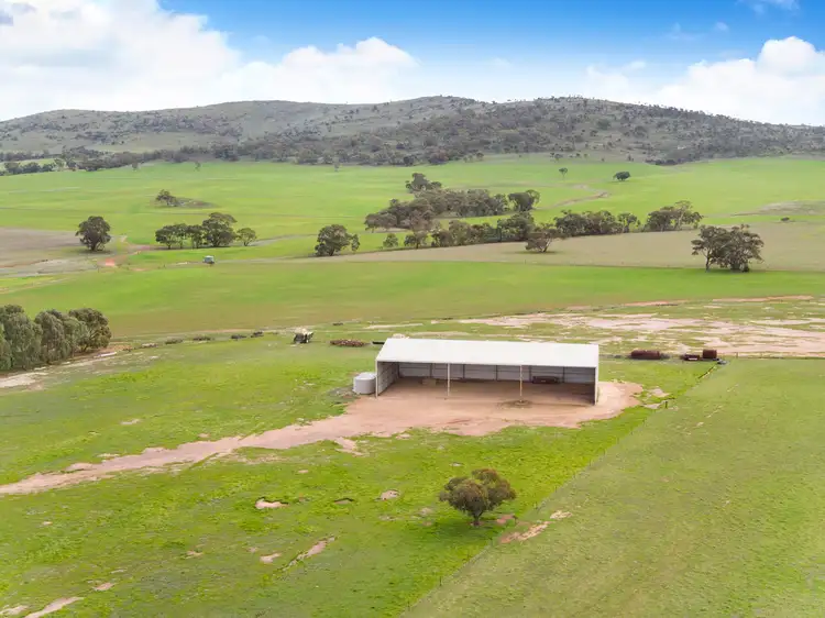 Second view of Homely rural property listing, 'Boudaglen' and 'Acacia Glen' - 1884 Price Maurice Road, Pekina SA 5431