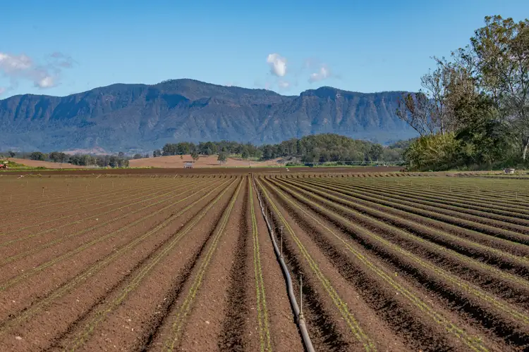 Second view of Homely rural property listing, 19 Frazerview Road, Aratula QLD 4309