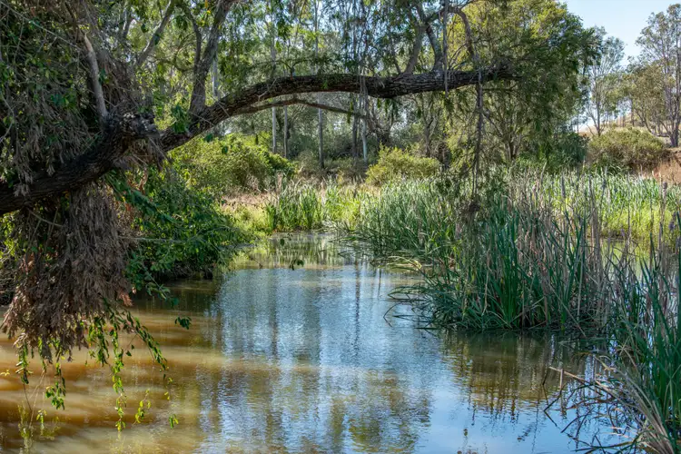 Third view of Homely rural property listing, 19 Frazerview Road, Aratula QLD 4309