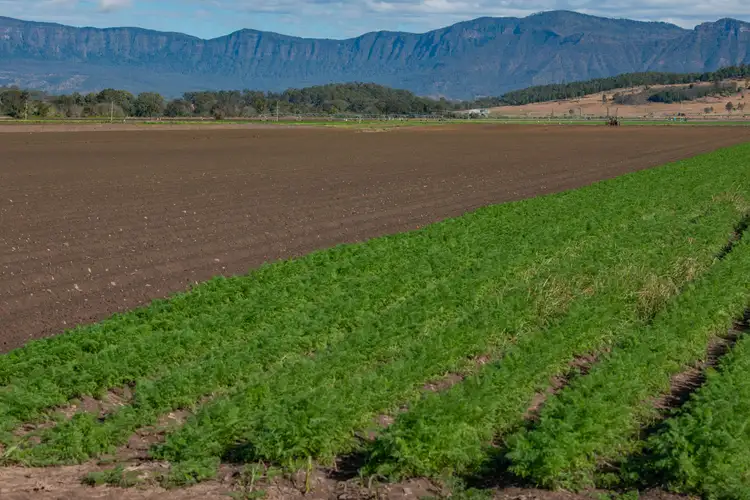Fourth view of Homely rural property listing, 213 Frazerview Road, Aratula QLD 4309
